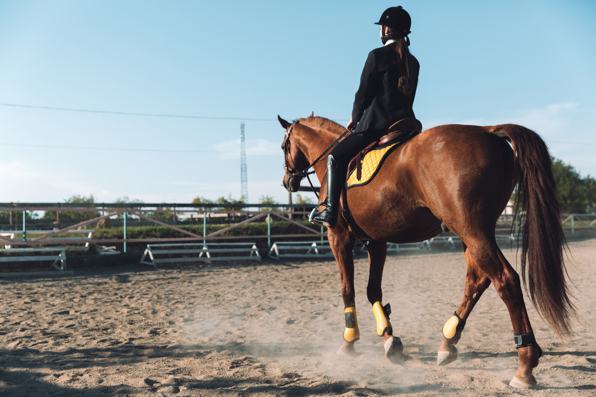 mujer montando a caballo en una hípica